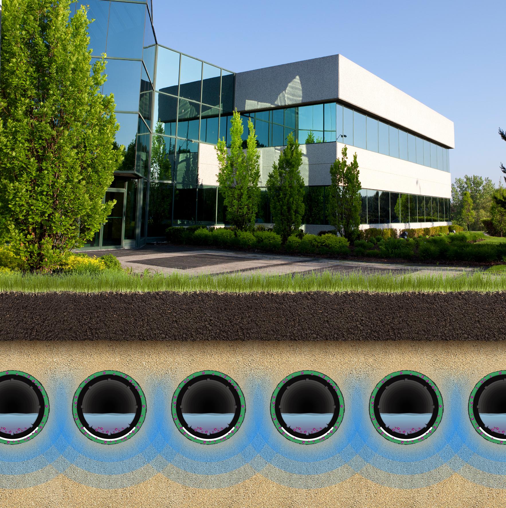 DBO_Header_2